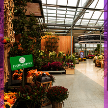 Blumen und Pflanzen in einer Lagerhalle