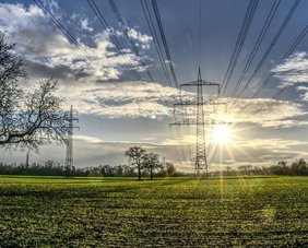Landschaft mit Wiese, Bäumen und einem Strommasten