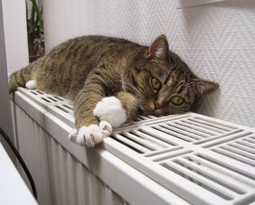 Katze, die auf einem Heizkörper liegt